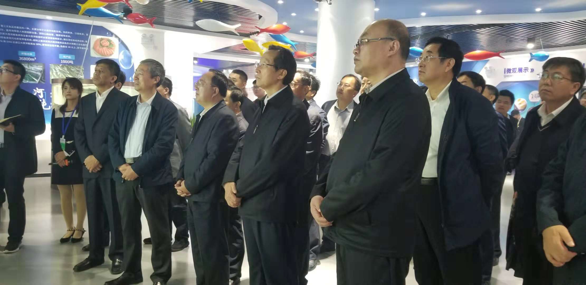 1540804391049021330.jpg 1.jpg